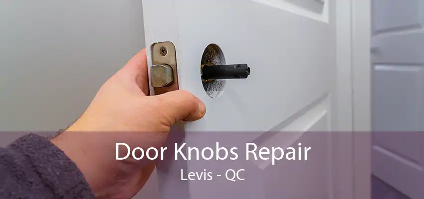 Door Knobs Repair Levis - QC