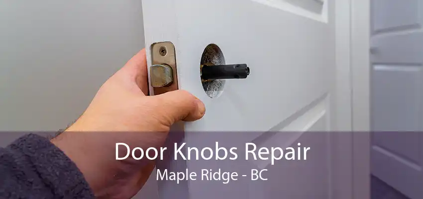 Door Knobs Repair Maple Ridge - BC