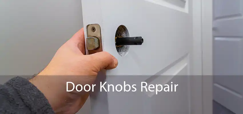 Door Knobs Repair 