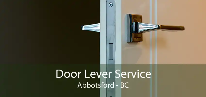 Door Lever Service Abbotsford - BC