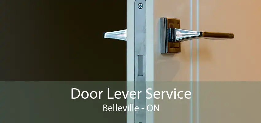 Door Lever Service Belleville - ON