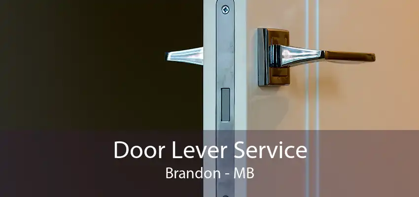 Door Lever Service Brandon - MB