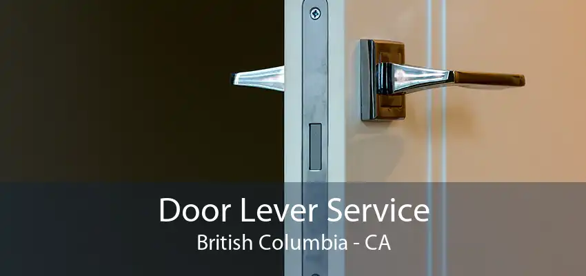 Door Lever Service British Columbia - CA