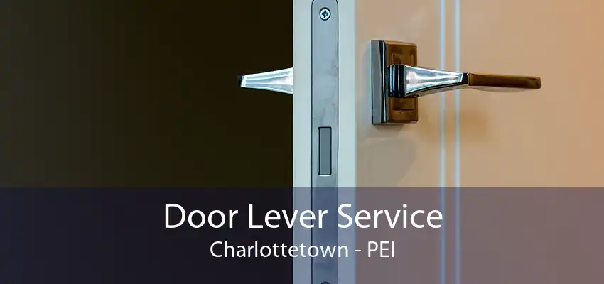 Door Lever Service Charlottetown - PEI