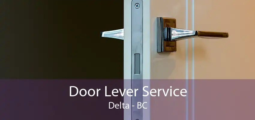 Door Lever Service Delta - BC