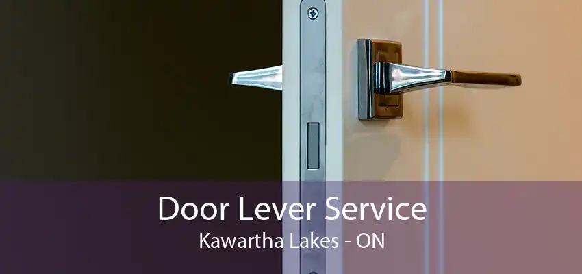 Door Lever Service Kawartha Lakes - ON