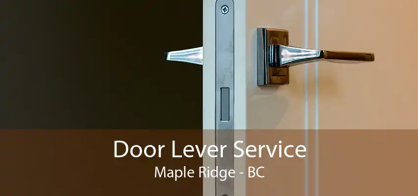 Door Lever Service Maple Ridge - BC