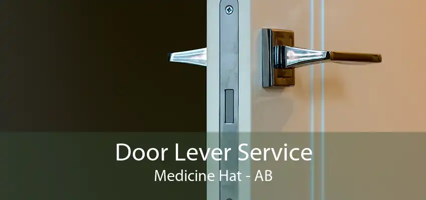 Door Lever Service Medicine Hat - AB