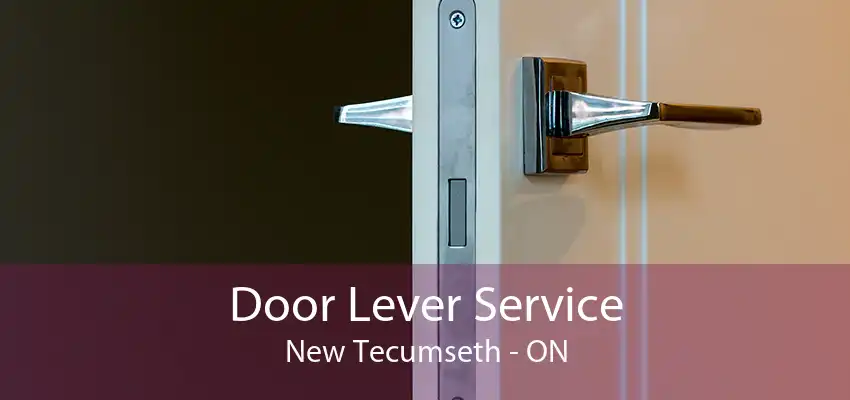 Door Lever Service New Tecumseth - ON