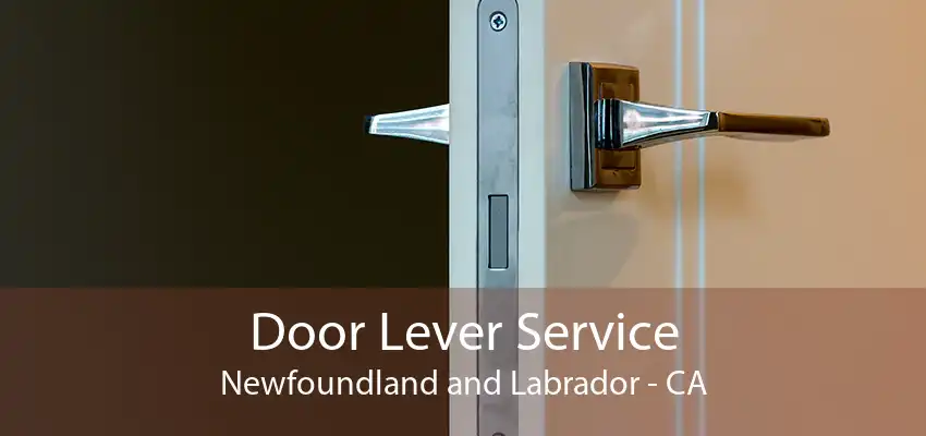 Door Lever Service Newfoundland and Labrador - CA