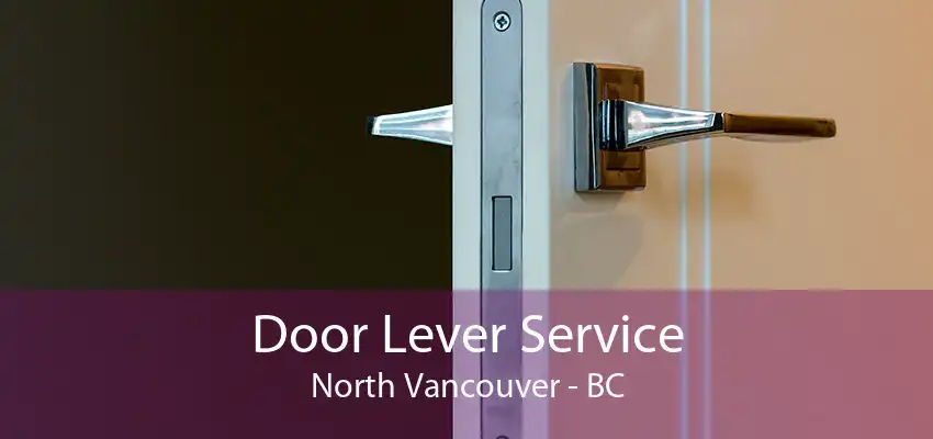 Door Lever Service North Vancouver - BC