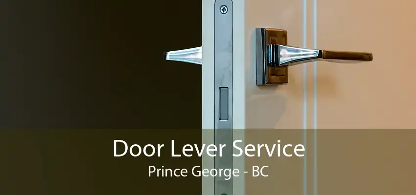 Door Lever Service Prince George - BC