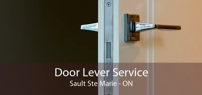 Door Lever Service Sault Ste Marie - ON