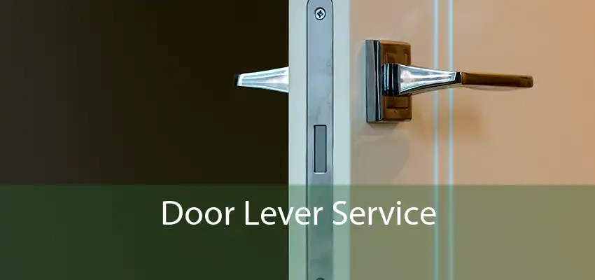 Door Lever Service 