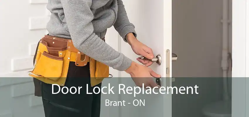 Door Lock Replacement Brant - ON