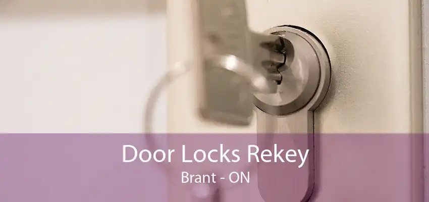 Door Locks Rekey Brant - ON