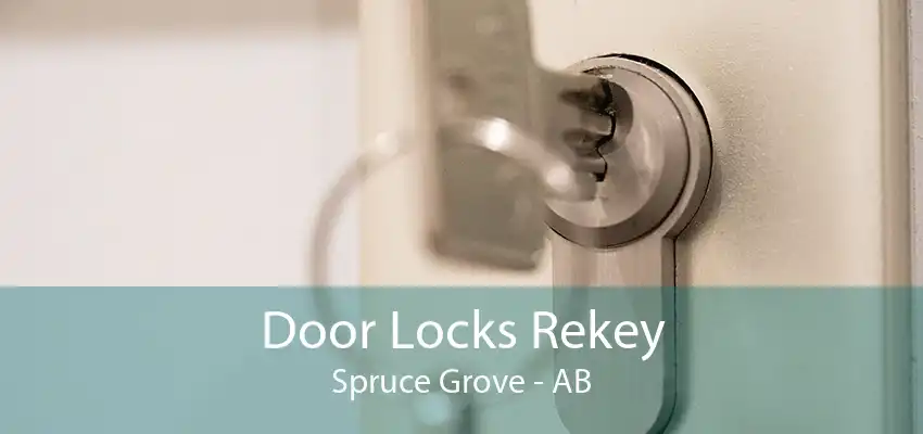 Door Locks Rekey Spruce Grove - AB