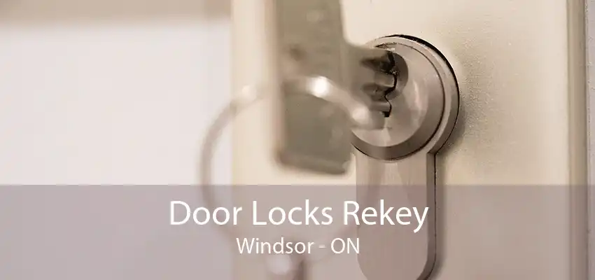 Door Locks Rekey Windsor - ON