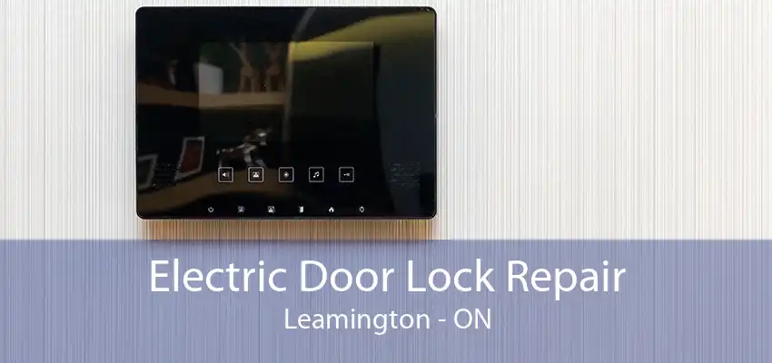 Electric Door Lock Repair Leamington - ON