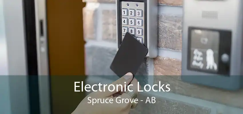 Electronic Locks Spruce Grove - AB