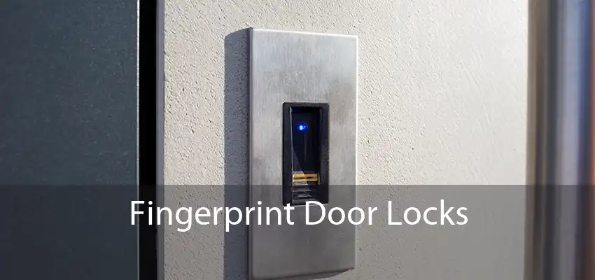 Fingerprint Door Locks 