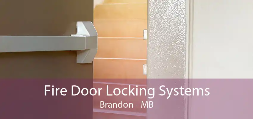 Fire Door Locking Systems Brandon - MB