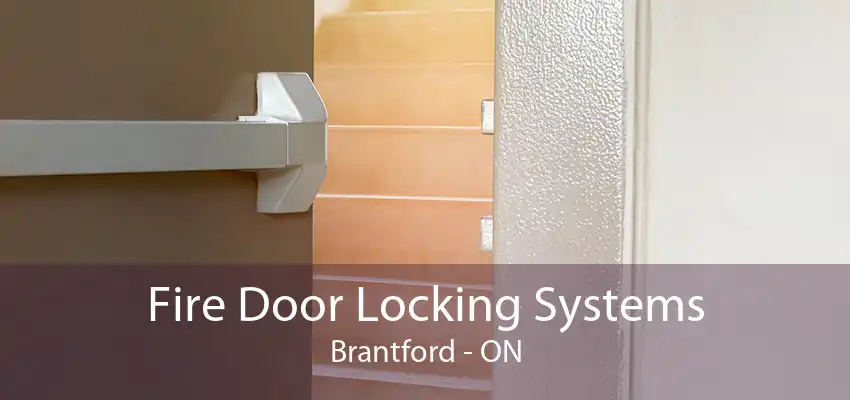 Fire Door Locking Systems Brantford - ON