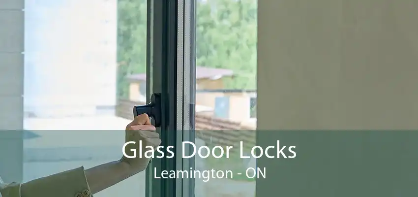 Glass Door Locks Leamington - ON