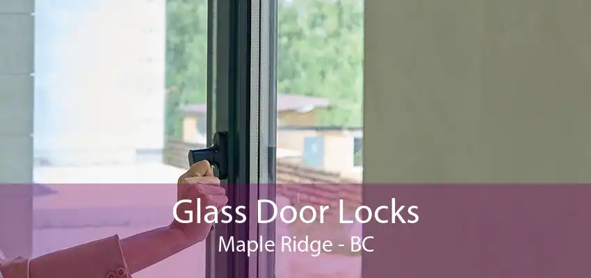 Glass Door Locks Maple Ridge - BC