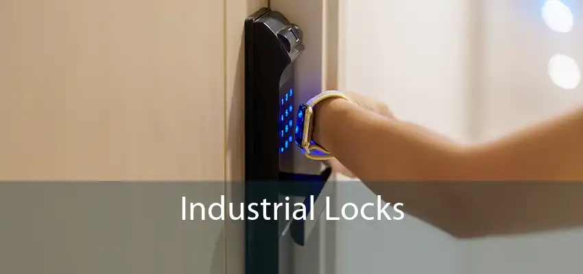 Industrial Locks 