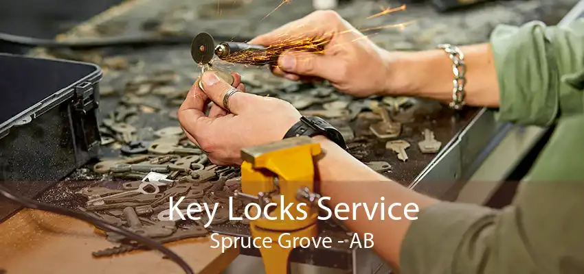 Key Locks Service Spruce Grove - AB