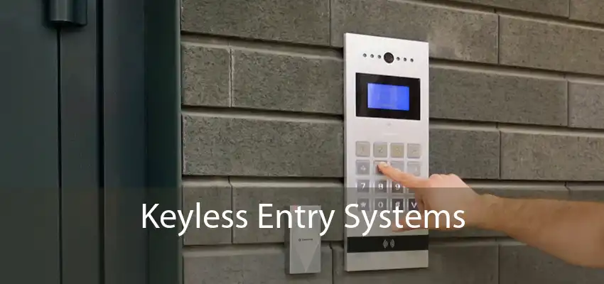 Keyless Entry Systems 