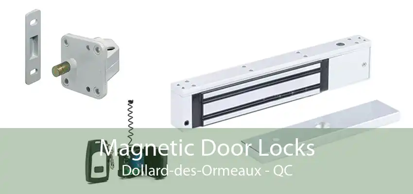 Magnetic Door Locks Dollard-des-Ormeaux - QC