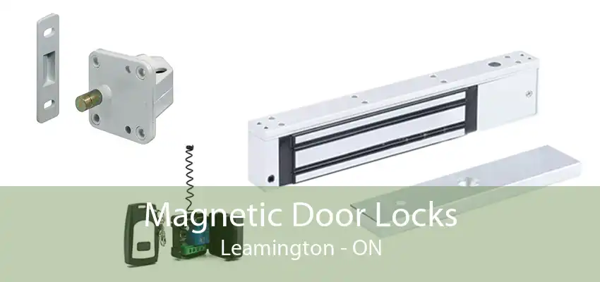 Magnetic Door Locks Leamington - ON