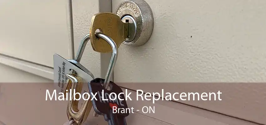 Mailbox Lock Replacement Brant - ON