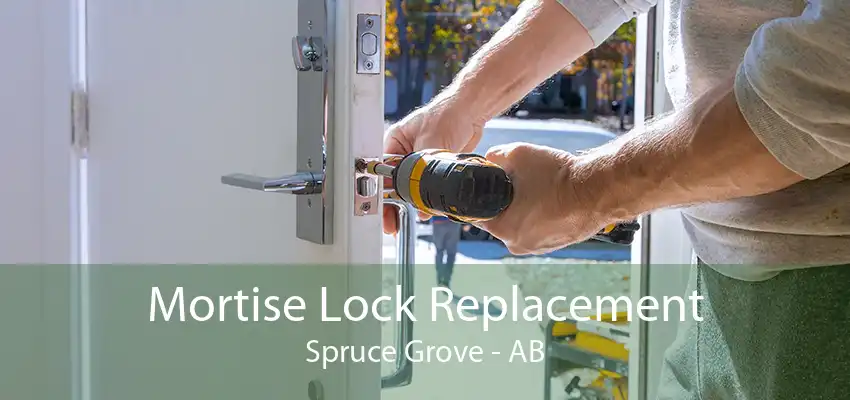 Mortise Lock Replacement Spruce Grove - AB