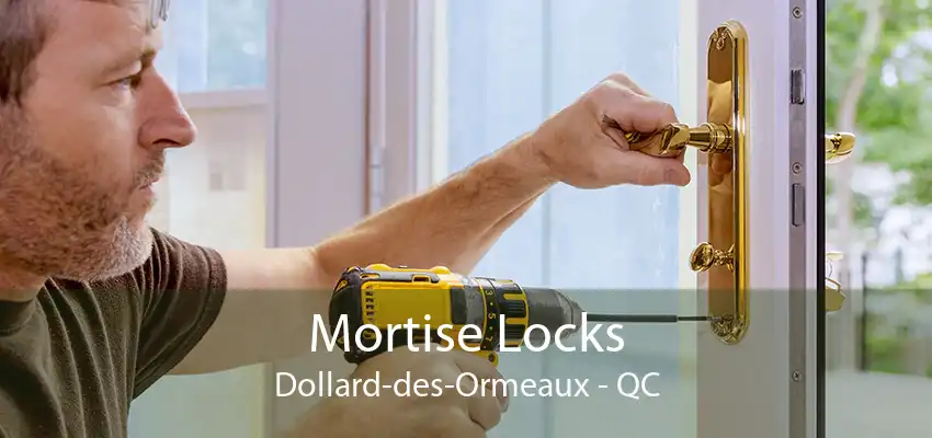 Mortise Locks Dollard-des-Ormeaux - QC