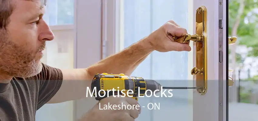 Mortise Locks Lakeshore - ON