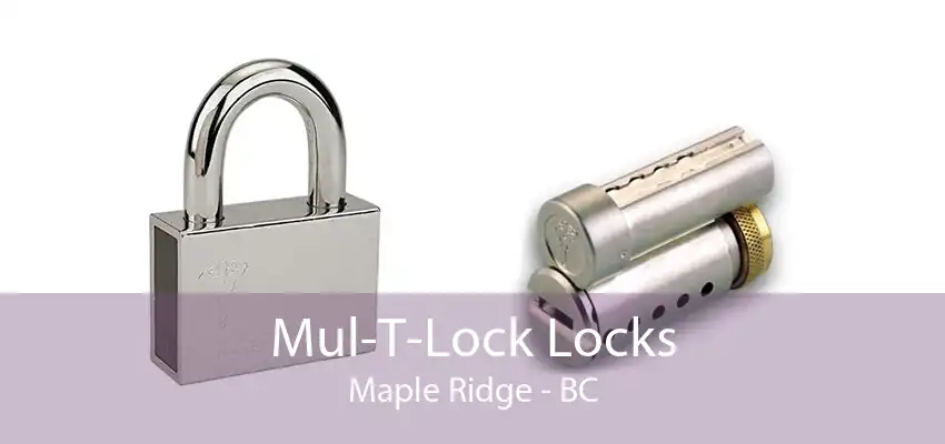 Mul-T-Lock Locks Maple Ridge - BC