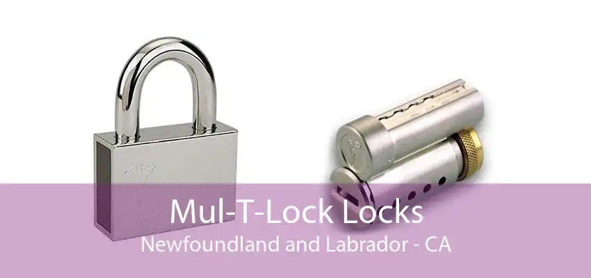 Mul-T-Lock Locks Newfoundland and Labrador - CA