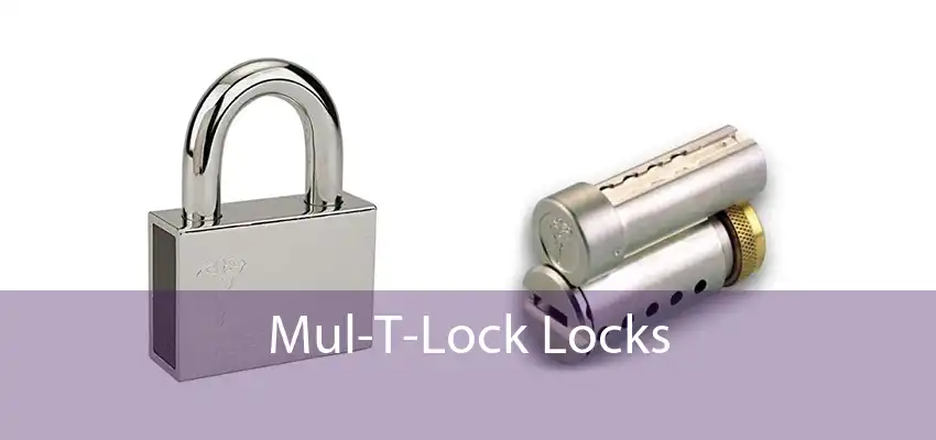 Mul-T-Lock Locks 