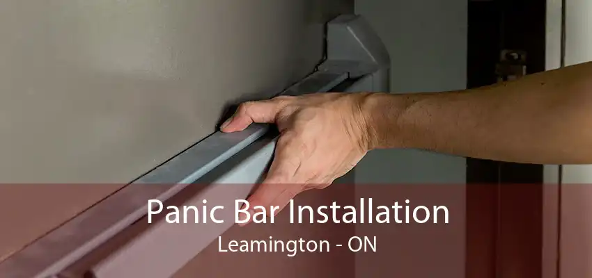 Panic Bar Installation Leamington - ON