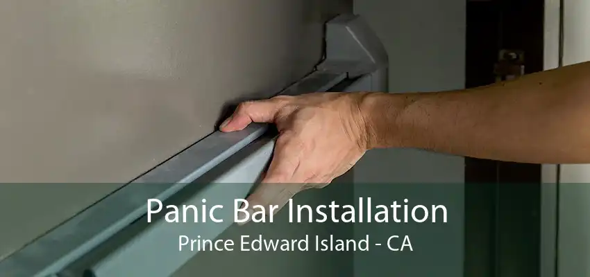 Panic Bar Installation Prince Edward Island - CA