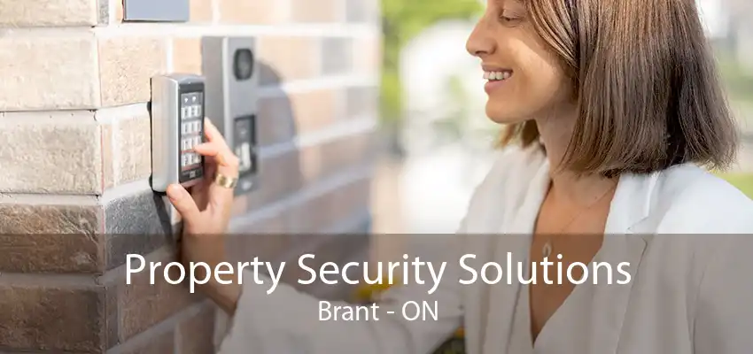 Property Security Solutions Brant - ON