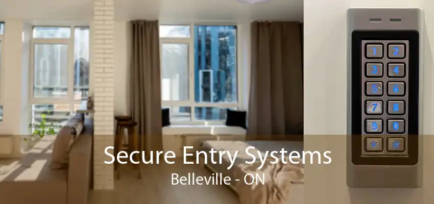 Secure Entry Systems Belleville - ON