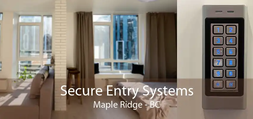 Secure Entry Systems Maple Ridge - BC