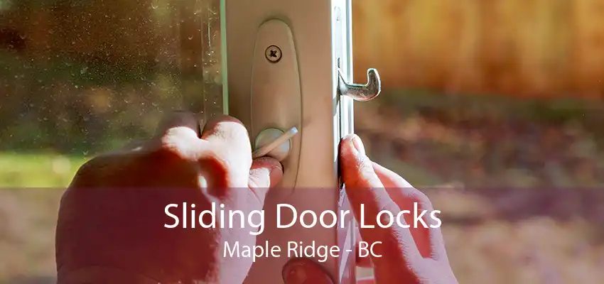 Sliding Door Locks Maple Ridge - BC