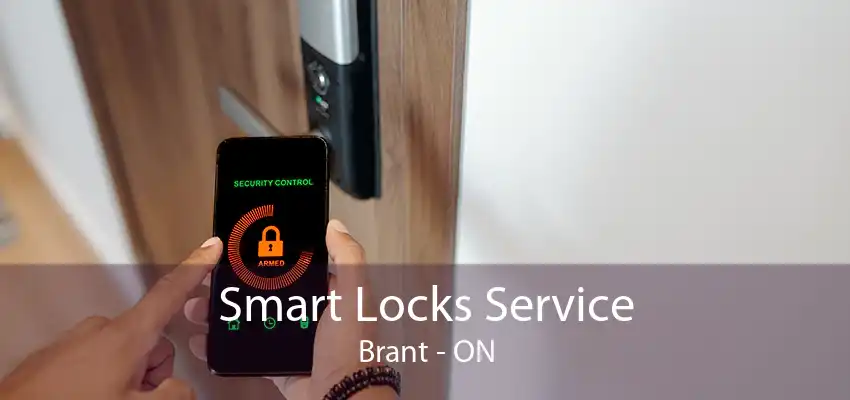 Smart Locks Service Brant - ON