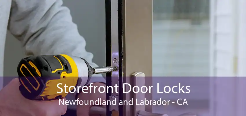 Storefront Door Locks Newfoundland and Labrador - CA