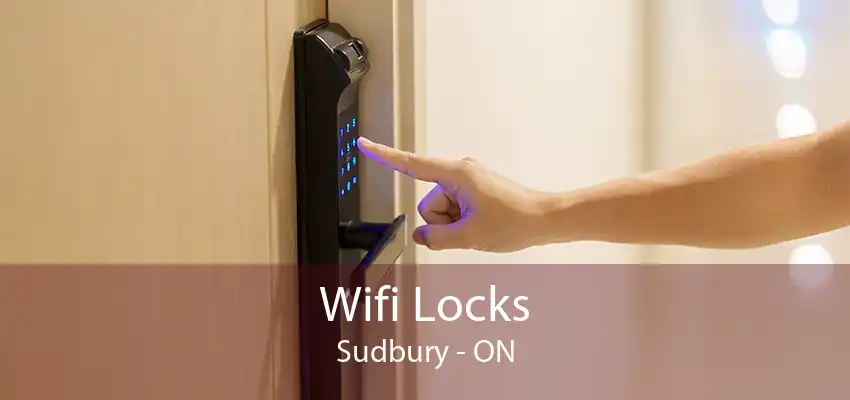 Wifi Locks Sudbury - ON